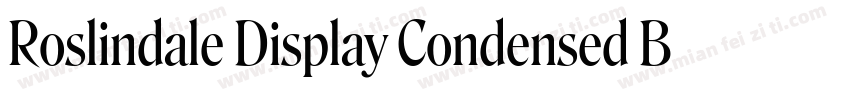 Roslindale Display Condensed Bold字体转换